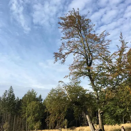 Gemutliches Waldhaus Mitten In Der Natur *