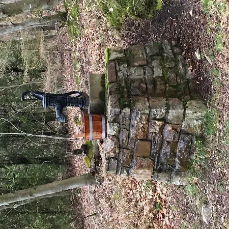 Gemutliches Waldhaus Mitten In Der Natur 度假居 Seibersbach